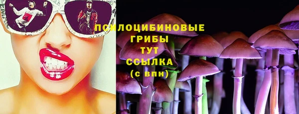 МДПВ Карталы