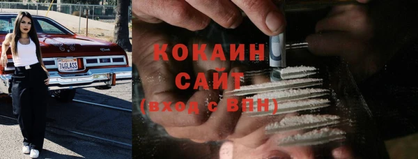 дмт Карпинск