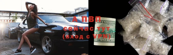 дмт Карпинск