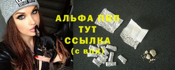 дмт Карпинск