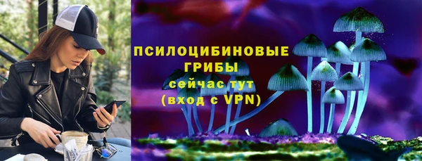 МДПВ Карталы