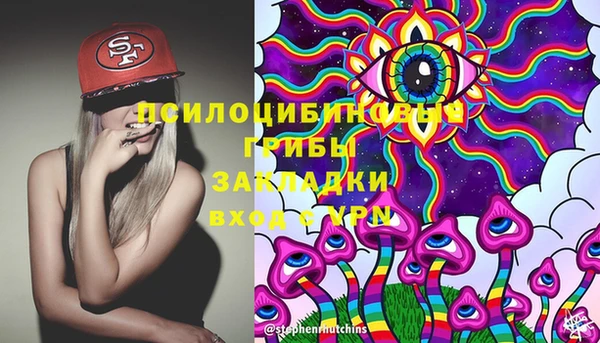 дмт Карпинск