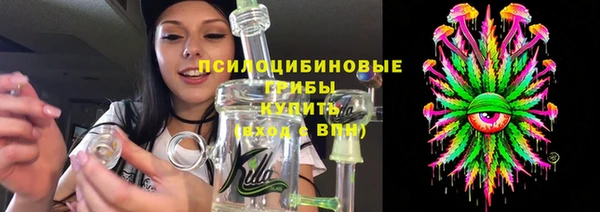 дмт Карпинск