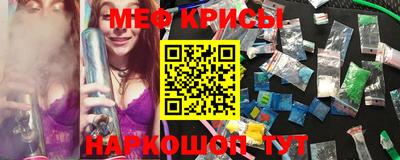 сатива Беслан