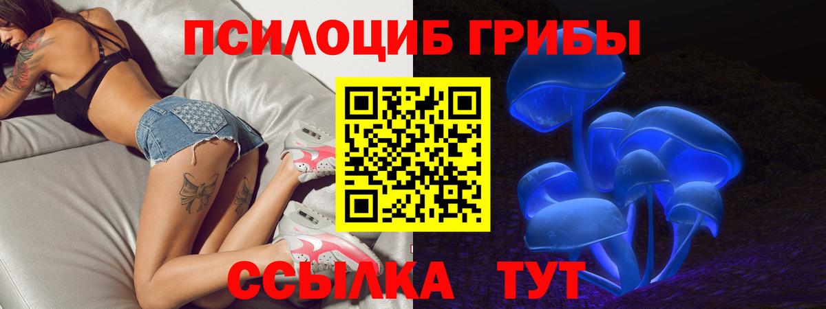 Псилоцибиновые грибы прущие грибы  Псилоцибиновые грибы прущие грибы  Волгодонск 